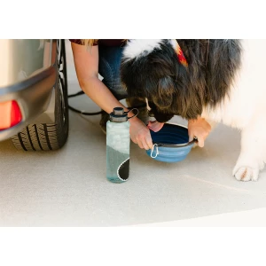 Składana miska dla psa Doggie, niebieski (R73618.04)