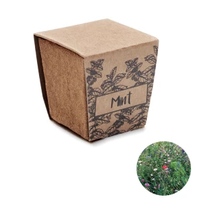 Zestaw do uprawy mięty - MINT KIT (MO2410-13)