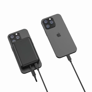 Power bank 10000 mAh Urban Vitamin Fullerton (P322.8701)