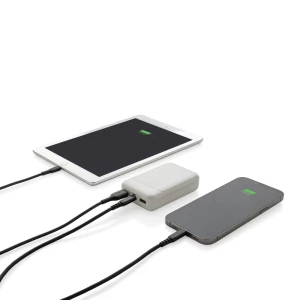 Power bank 10000 mAh (P322.663)