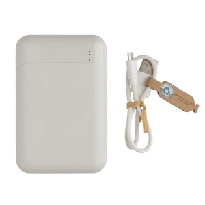 Power bank 10000 mAh (P322.663)