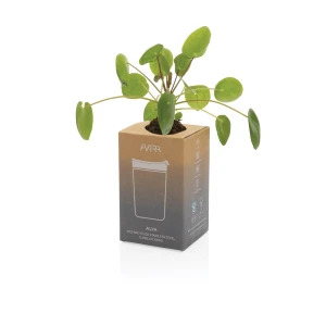 Kubek termiczny 300 ml Avira Alya (P438.029)