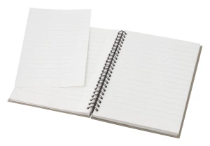 Gulliver notes - beżowy (AP791047-00)