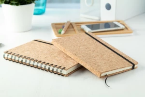 Xiankal notes - naturalny (AP721717)