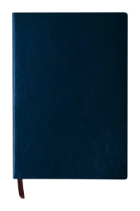 Paldon notes - ciemno niebieski (AP721728-06A)